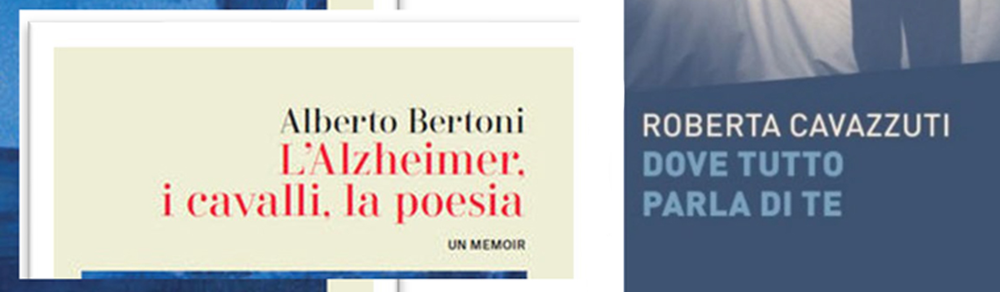 imm per sito.jpg